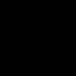 Meet your Posher, Walter